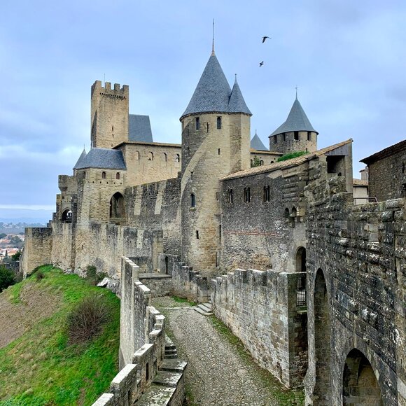 Meet your Posher, Velanna - Picture 1 of 1